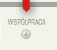 Wsppraca